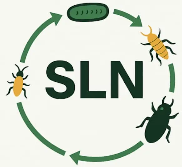SLN Enterprises Logo